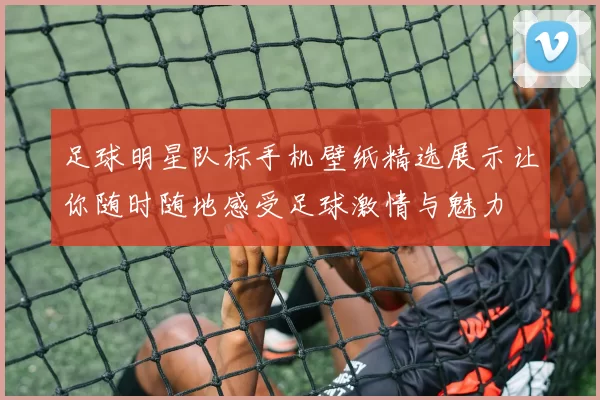 足球明星队标手机壁纸精选展示让你随时随地感受足球激情与魅力