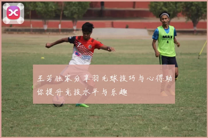 王芳独家分享羽毛球技巧与心得助你提升竞技水平与乐趣
