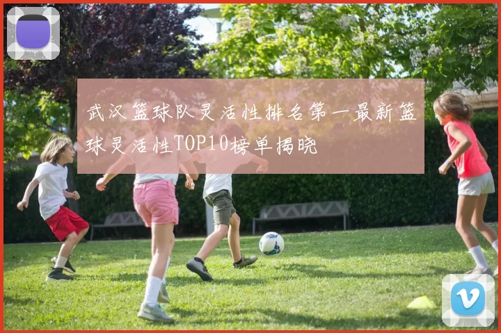 武汉篮球队灵活性排名第一最新篮球灵活性TOP10榜单揭晓