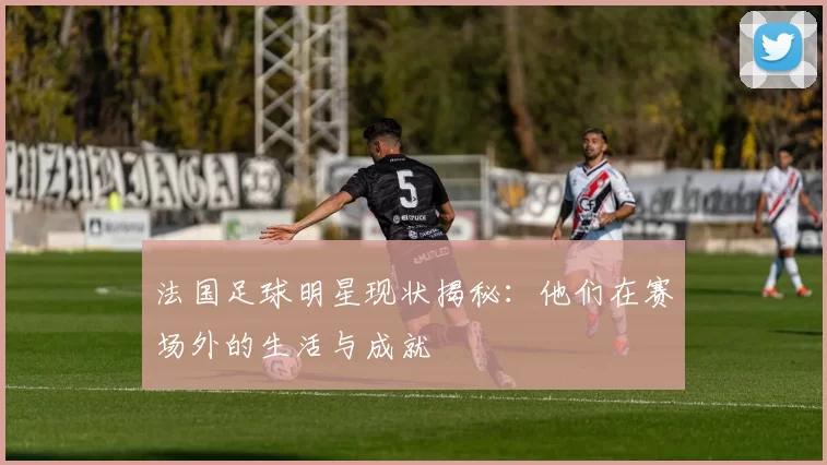 法国足球明星现状揭秘：他们在赛场外的生活与成就