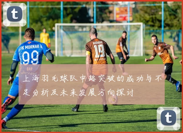 上海羽毛球队中路突破的成功与不足分析及未来发展方向探讨