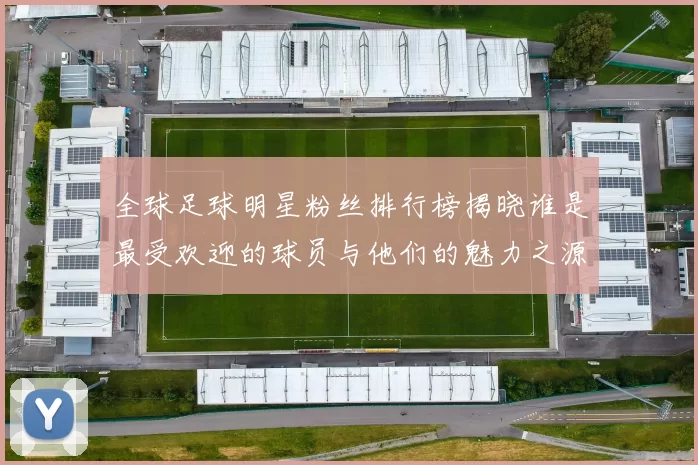 全球足球明星粉丝排行榜揭晓谁是最受欢迎的球员与他们的魅力之源