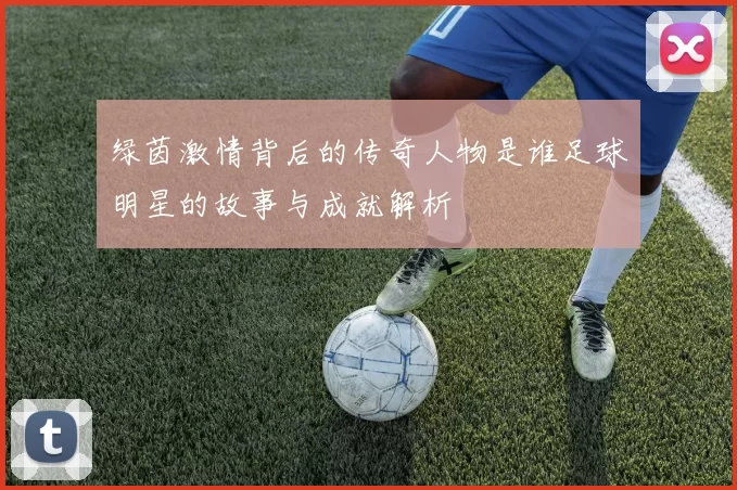 绿茵激情背后的传奇人物是谁足球明星的故事与成就解析