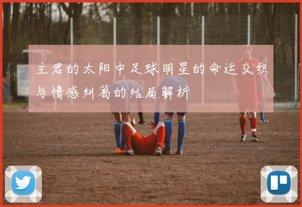 主君的太阳中足球明星的命运交织与情感纠葛的结局解析