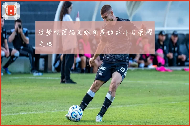 追梦绿茵场足球明星的奋斗与荣耀之路