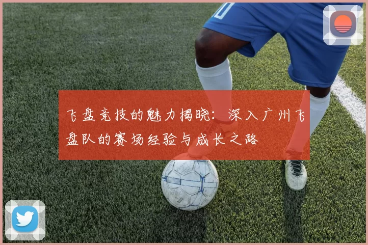 飞盘竞技的魅力揭晓：深入广州飞盘队的赛场经验与成长之路