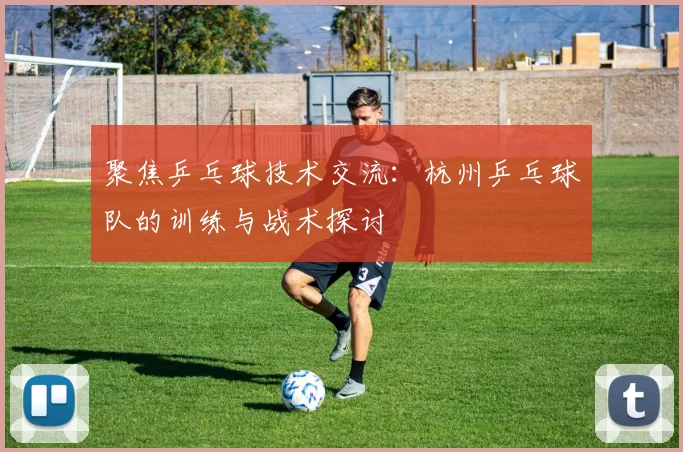 聚焦乒乓球技术交流：杭州乒乓球队的训练与战术探讨