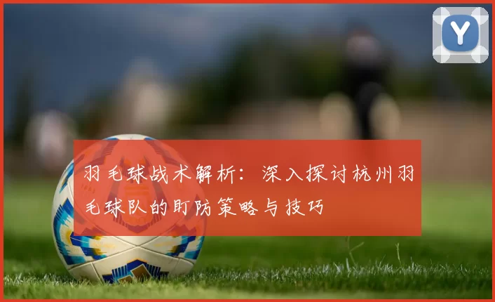 羽毛球战术解析：深入探讨杭州羽毛球队的盯防策略与技巧