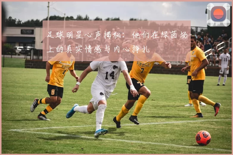 足球明星心声揭秘：他们在绿茵场上的真实情感与内心挣扎