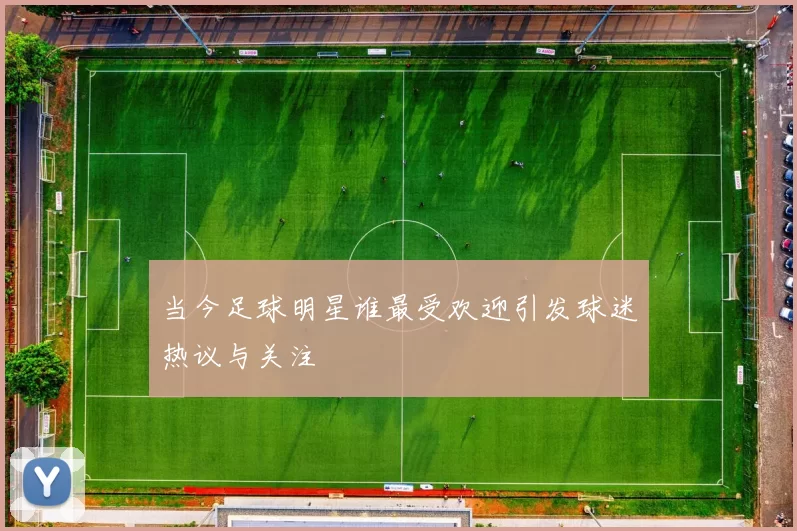 当今足球明星谁最受欢迎引发球迷热议与关注