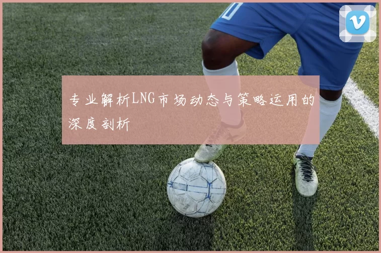 专业解析LNG市场动态与策略运用的深度剖析
