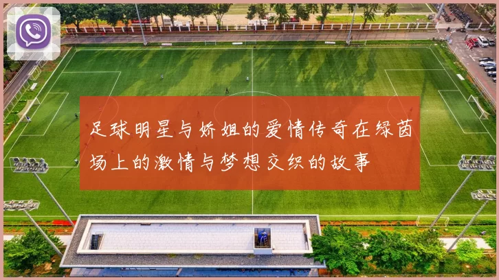 足球明星与娇姐的爱情传奇在绿茵场上的激情与梦想交织的故事