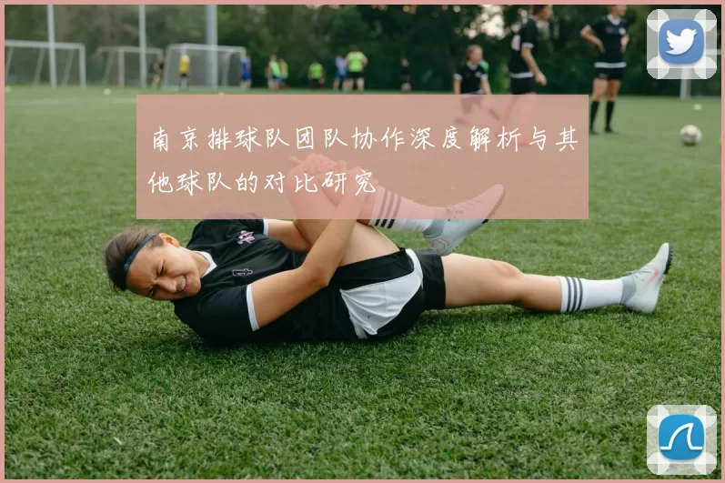 南京排球队团队协作深度解析与其他球队的对比研究