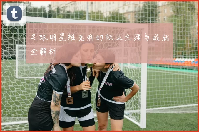 足球明星维克利的职业生涯与成就全解析