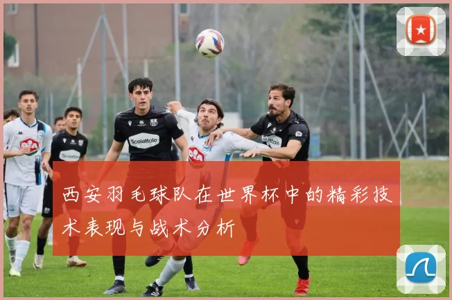 西安羽毛球队在世界杯中的精彩技术表现与战术分析