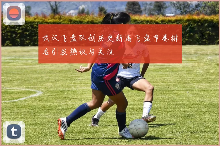 武汉飞盘队创历史新高飞盘节奏排名引发热议与关注