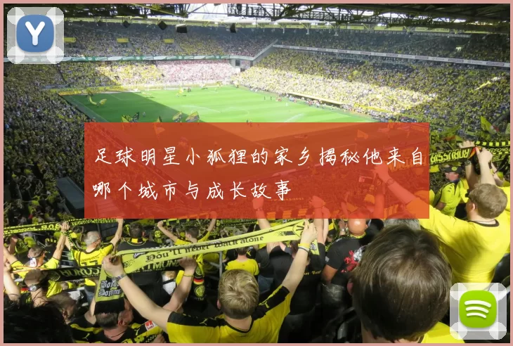 足球明星小狐狸的家乡揭秘他来自哪个城市与成长故事