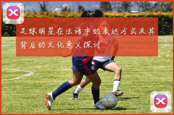 足球明星在法语中的表达方式及其背后的文化意义探讨
