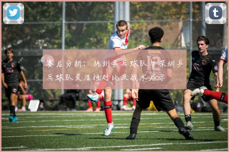 赛后分析：杭州乒乓球队与深圳乒乓球队灵活性对比及战术启示