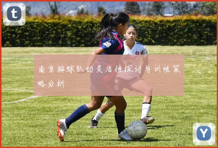 南京排球队的灵活性探讨与训练策略分析