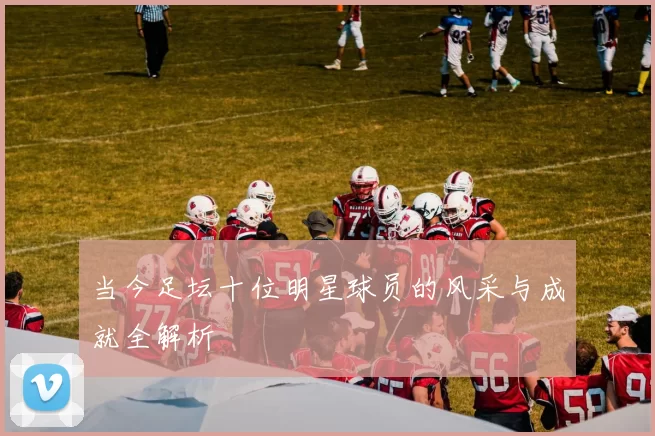 当今足坛十位明星球员的风采与成就全解析