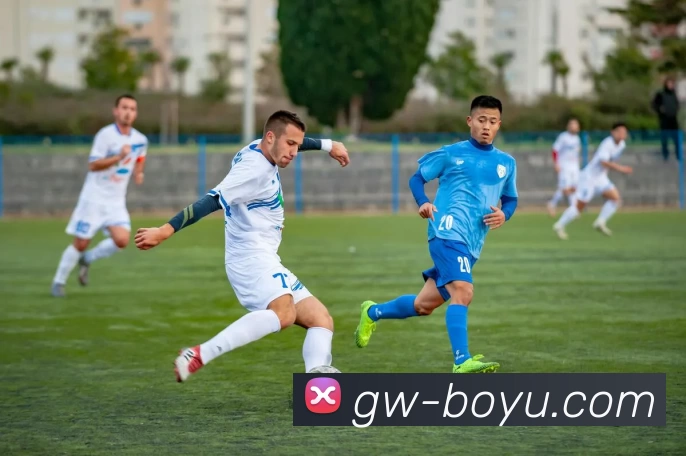 App Interface Preview